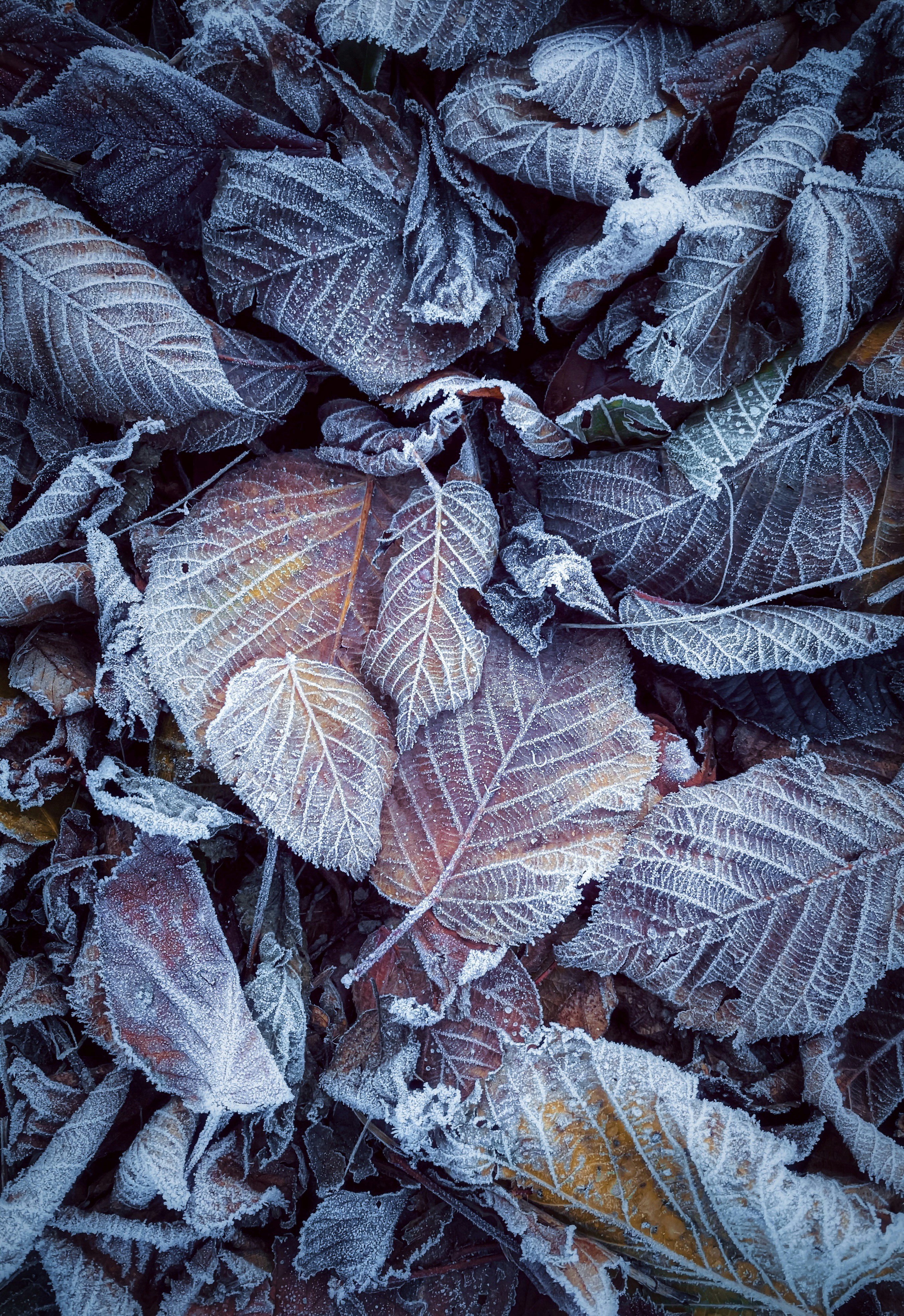 eugene-golovesov-K9DxNoQOhaM-unsplash.jpg